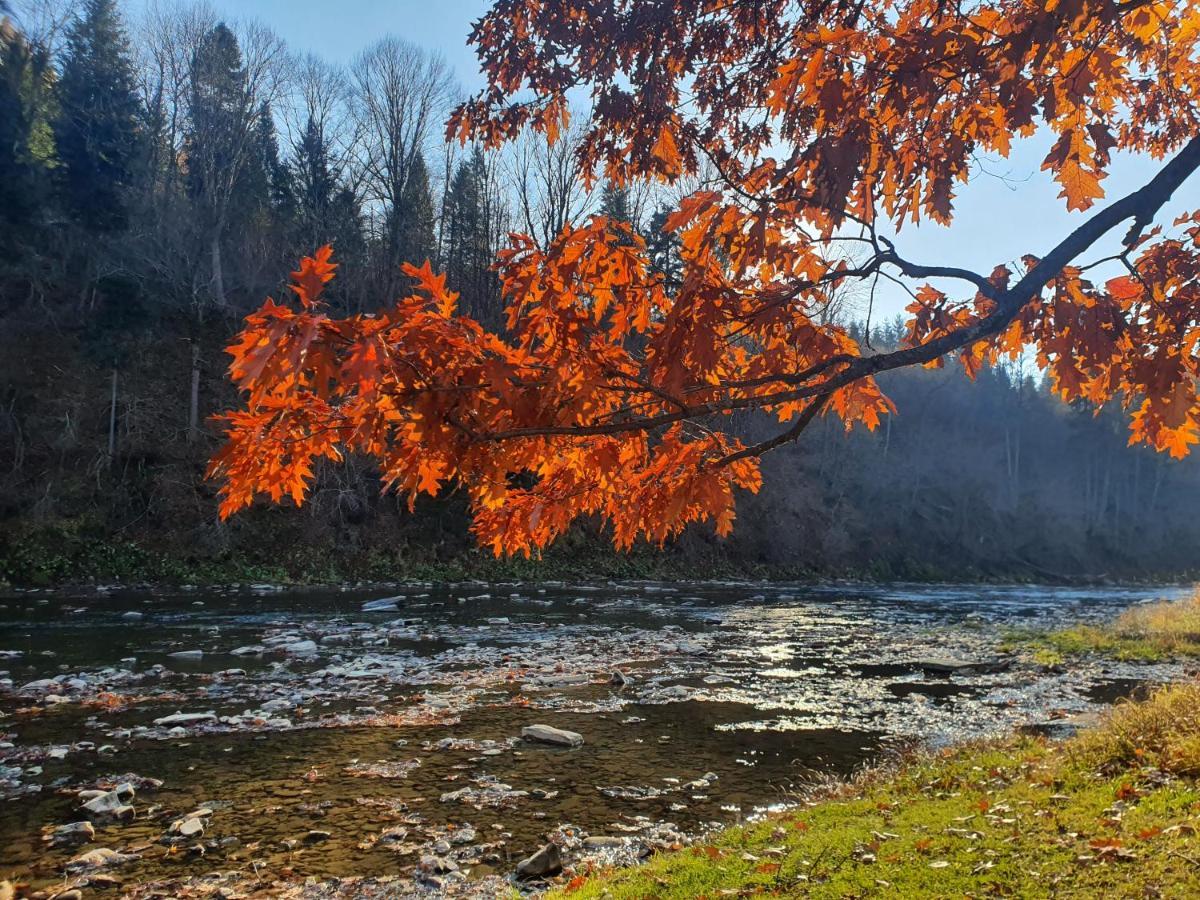 Domki U Gretka Lutowiska Dış mekan fotoğraf