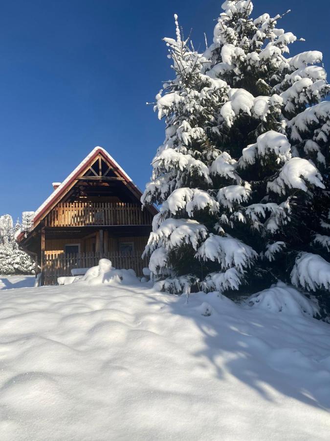 Domki U Gretka Lutowiska Dış mekan fotoğraf