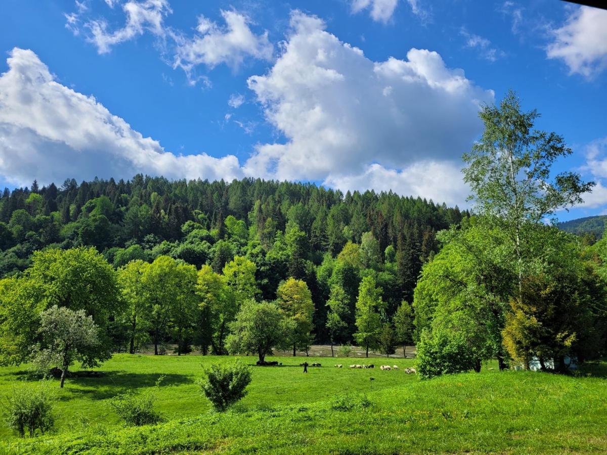 Domki U Gretka Lutowiska Dış mekan fotoğraf