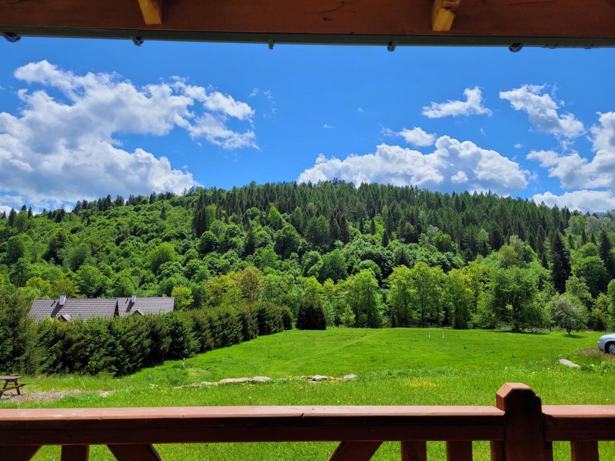 Domki U Gretka Lutowiska Dış mekan fotoğraf